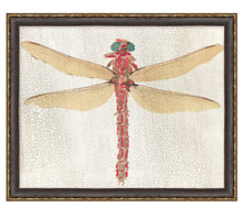 Load image into Gallery viewer, Dragonfly