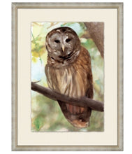 Load image into Gallery viewer, Spring Owl